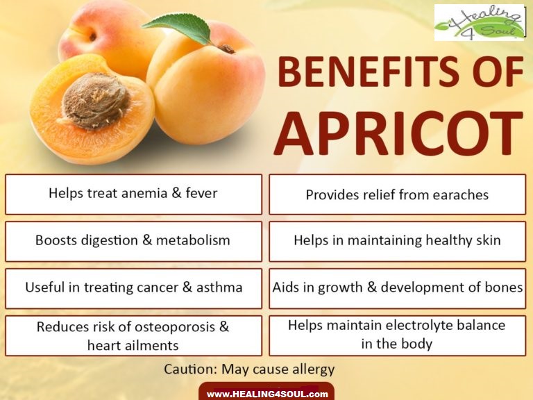 Apricot poster.jpg