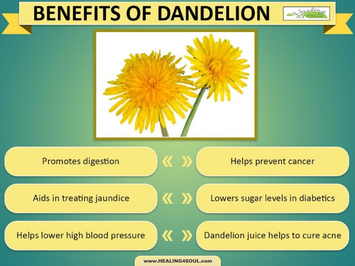 Dandelion poster.jpg