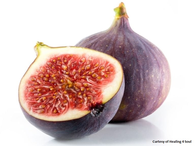 Figs.jpg