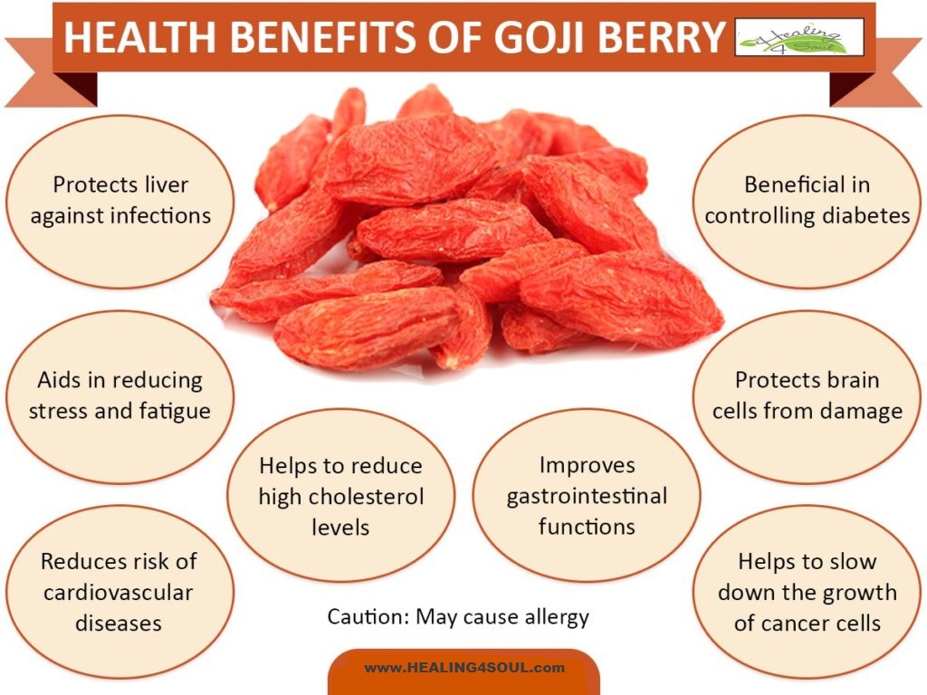 Goji berry poster.jpg