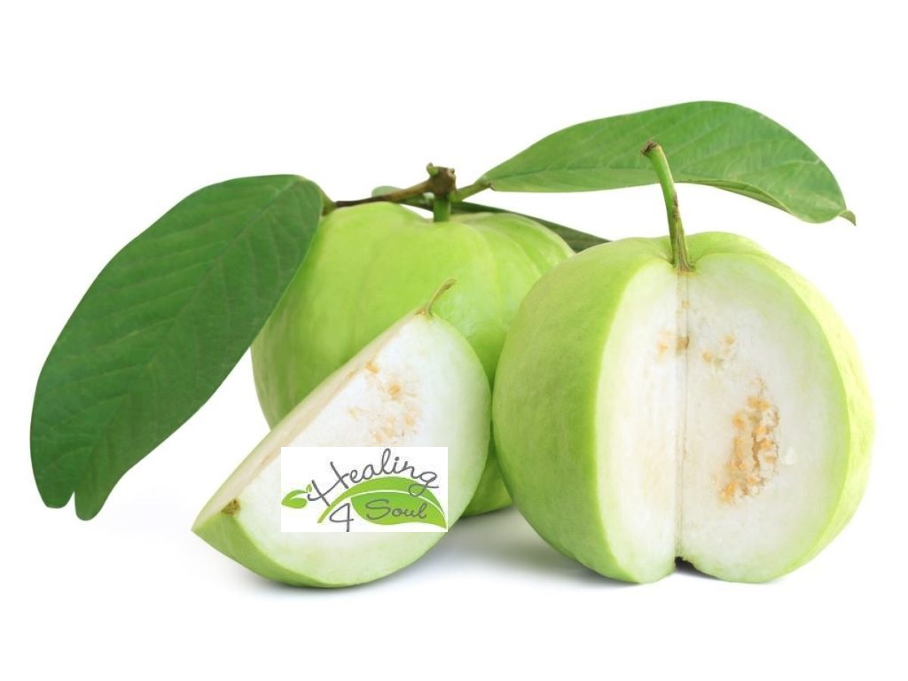 Guava 1.jpg