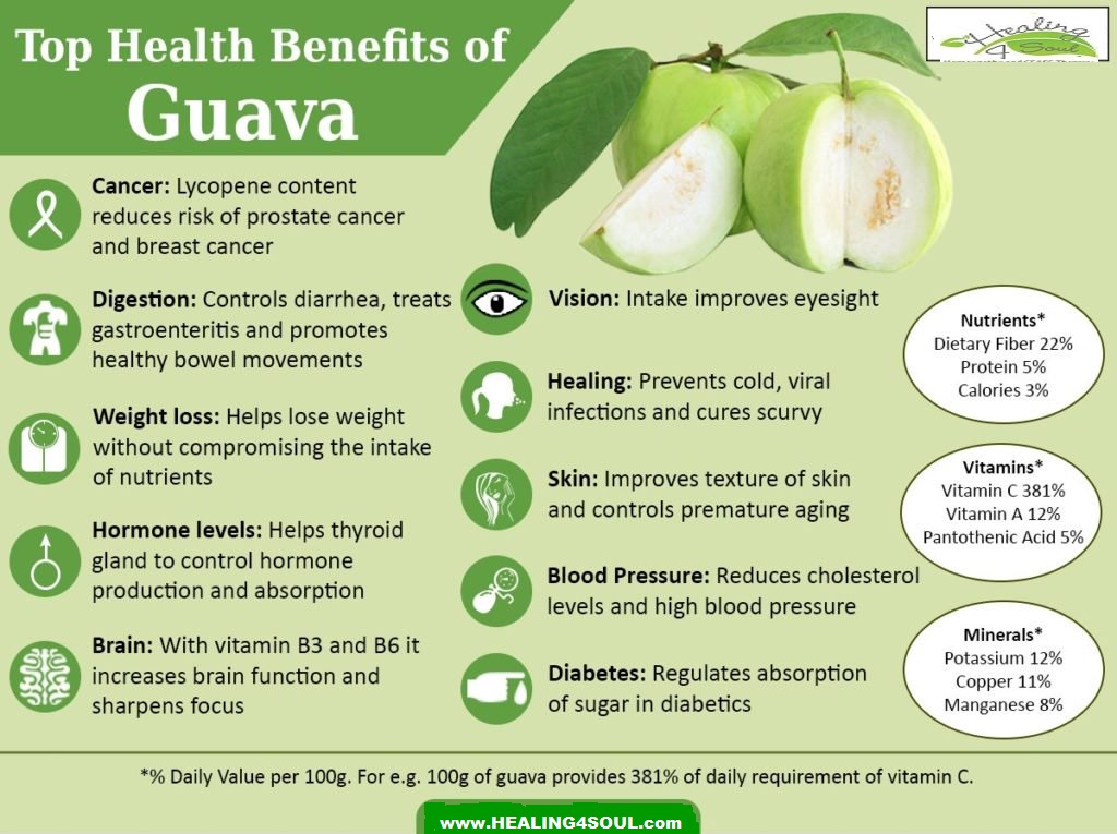 Guava poster 1.jpg