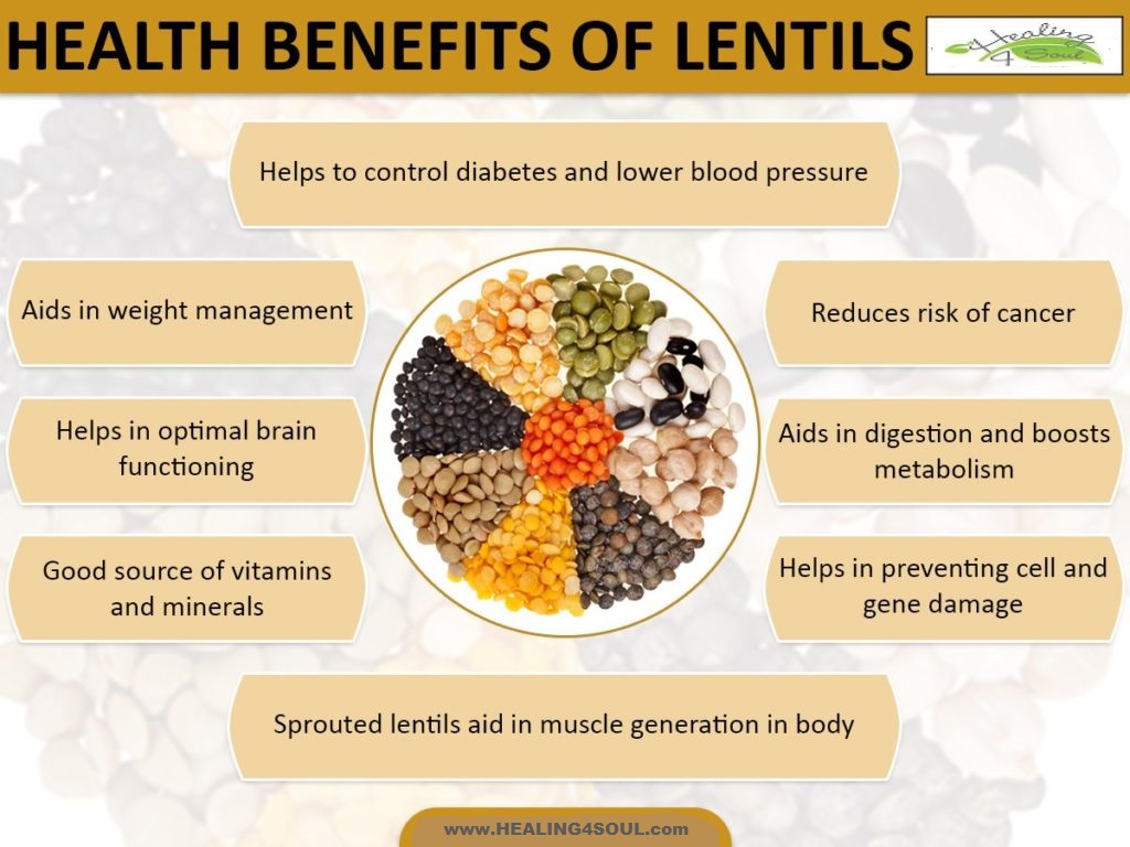 Lentil poster.jpg