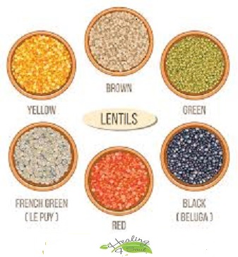 Lentils-2---.jpg