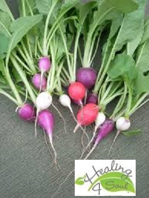 Radishes 3--.jpg