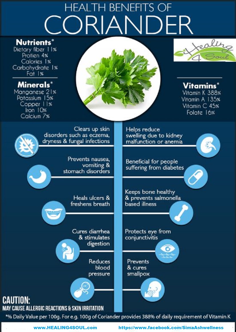 cilantro poster--.jpg