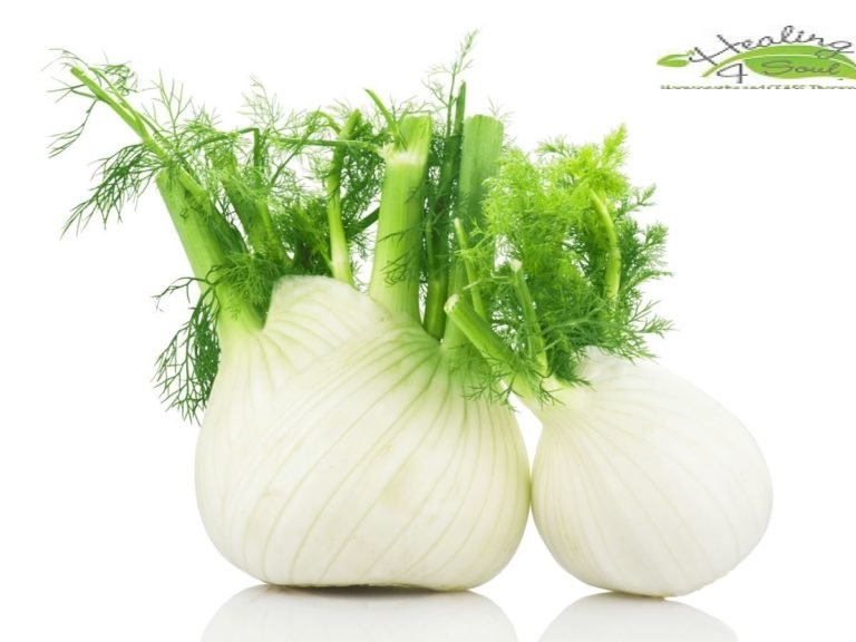 fennel 1.jpg