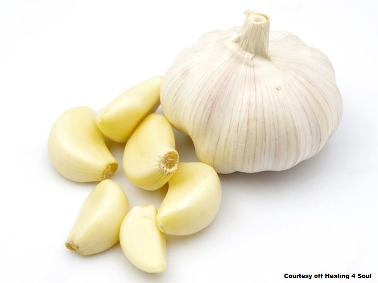 garlic.jpg