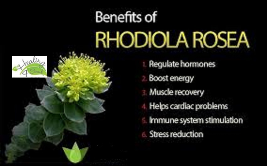 Rhodlioa poster.jpg
