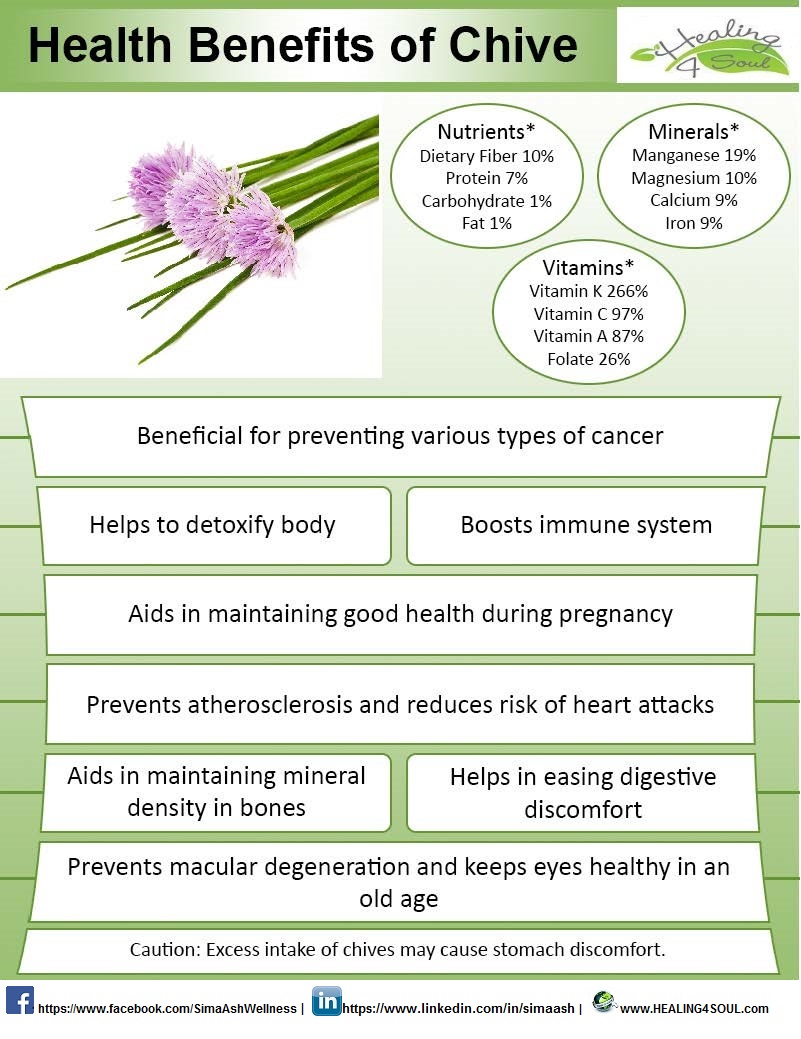 chives poster.jpg
